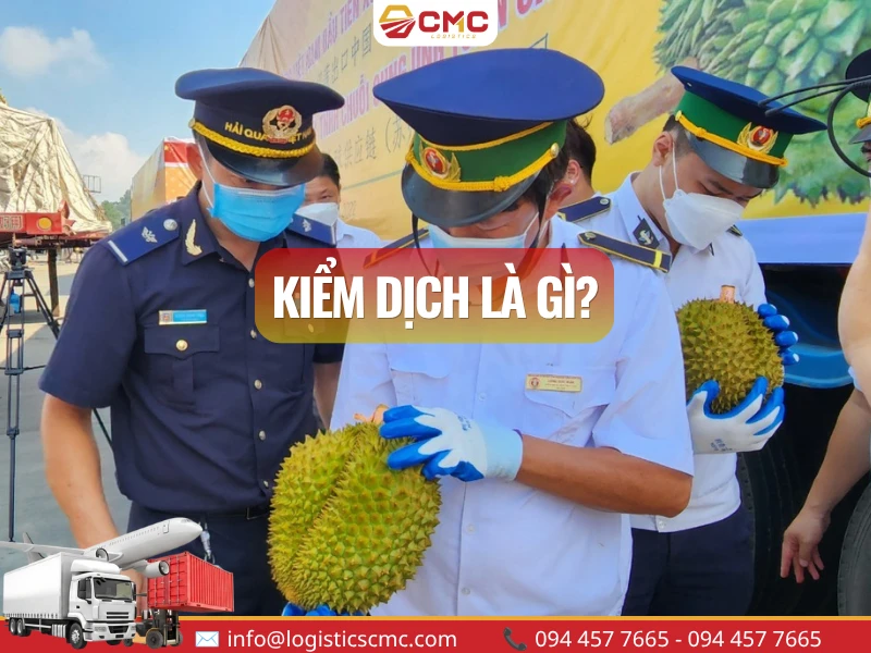 Kiểm dịch là gì? Quy trình, thủ tục làm kiểm dịch hàng hóa xuất nhập khẩu